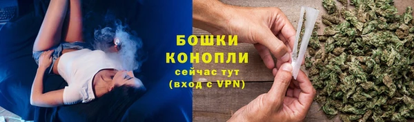 прущая мука Вяземский