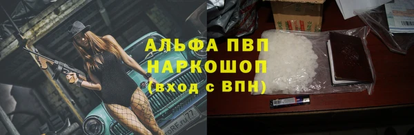 сатива Волоколамск