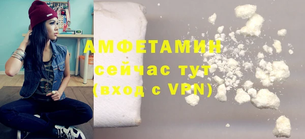 прущая мука Вяземский