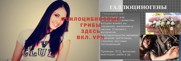 прущая мука Вяземский