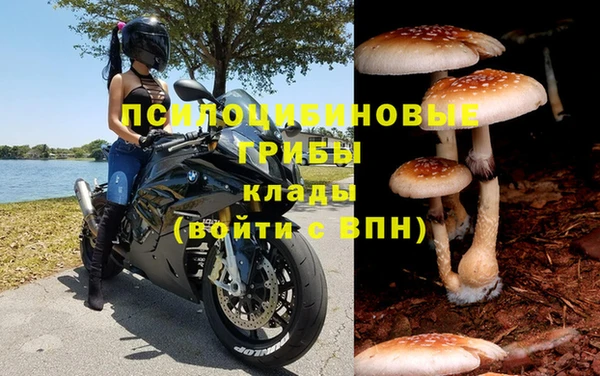 прущая мука Вяземский